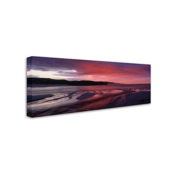 David Evans 'Hanson Bay-Kangaroo Island' Canvas Art,16x47